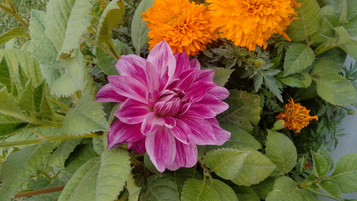 Change your look and your attitude